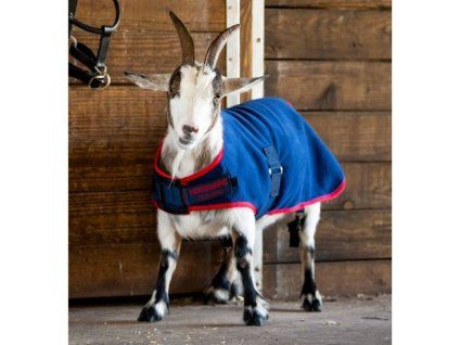 Deka pro kozy HORSEWARE fleecová navy/red (S)