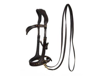 Sidepull F.R.A. Glory black COB