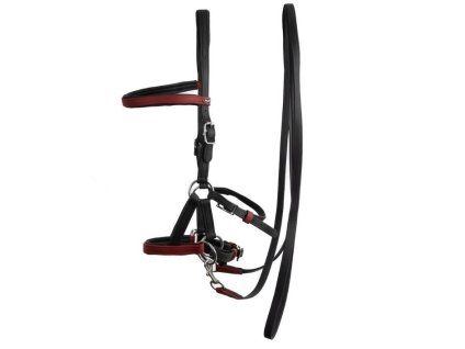 Sidepull F.R.A. Kirsche black/burgundy COB