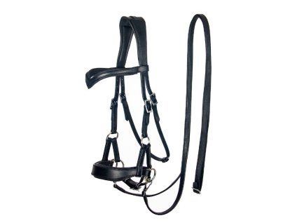 Sidepull F.R.A. Aruba black PONY