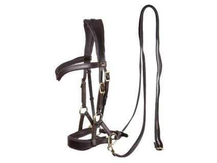 Sidepull F.R.A. Aruba brown FULL