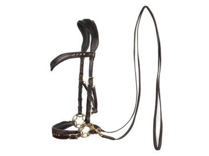 Hackamore uzdečka F.R.A Glory brown FULL