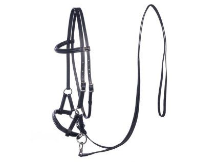 Sidepull F.R.A. Pardoes black COB