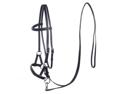 Sidepull F.R.A. Pardoes black PONY