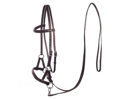 Sidepull F.R.A. Pardoes brown COB