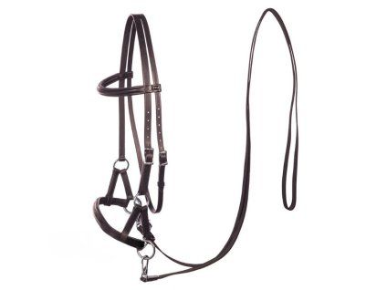 Sidepull F.R.A. Pardoes brown PONY