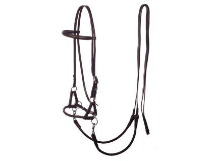 Sidepull F.R.A. Pardoes brown XFULL