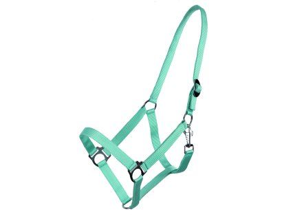 Ohlávka Q-ESSENTIALS Slide turquoise SHETTY