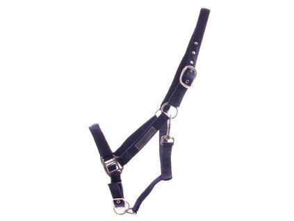 Ohlávka QHP Lined blue COB