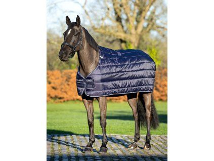 Liner LEMIEUX 50g navy 165cm