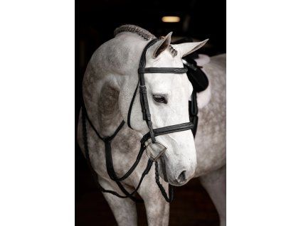 Uzdečka LEMIEUX Stitched Hunter Bridle black/silver PONY