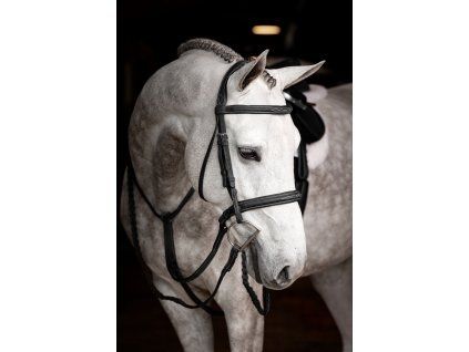 Uzdečka LEMIEUX Stitched Hunter Bridle black/silver COB