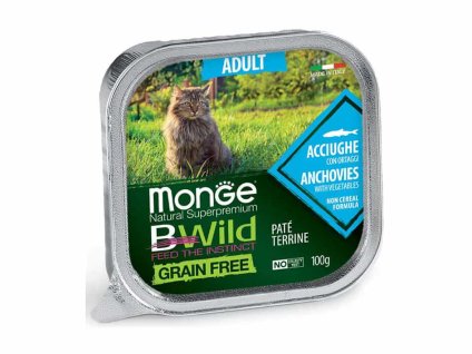 Paštika MONGE Cat BWild Grain Free Adult ančovičky se zeleninou 100g