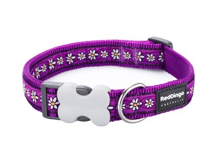 Obojek RED DINGO Daisy Chain Purple 1,2x20-32cm