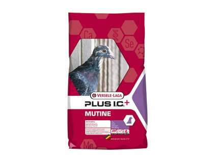 VERSELE-LAGA Plus I.C.+ Mutine 20kg (pro holuby)