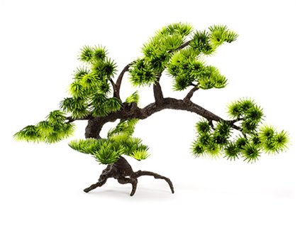 Rostlina JK Bonsai (L) 28cm