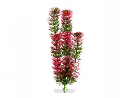 Rostlina JK Red Anacharis 25-28cm