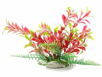 Rostlina JK Ludwigia červenozelená 14-17cm