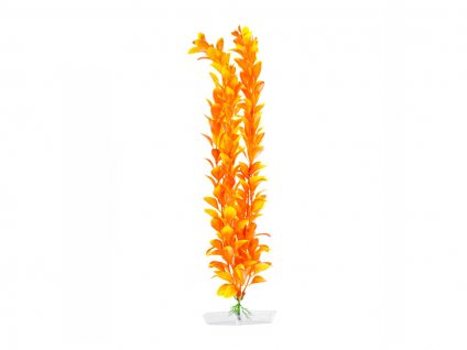 Rostlina JK Orange Ludwigia 38-43cm