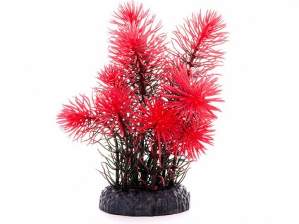 Rostlina JK Red Anacharis kámen 14cm