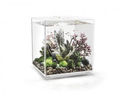 Akvarijní set BIORB Cube LED bílý (60l)