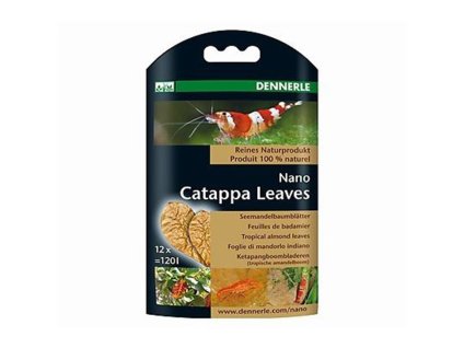 DENNERLE Nano Catappa Leaves - listy mandlovníku mořského (12ks)