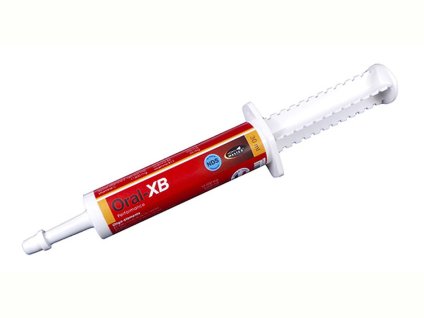 HORSE MASTER Oral XB 30ml (DOPRODEJ)