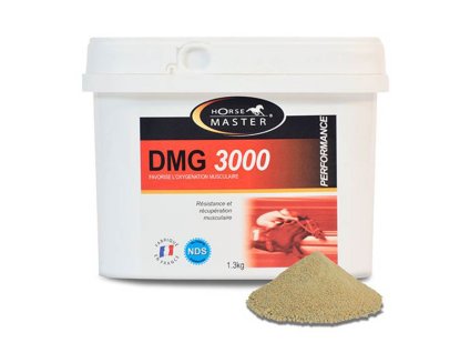 HORSE MASTER DMG 3000 1.3kg (DOPRODEJ)