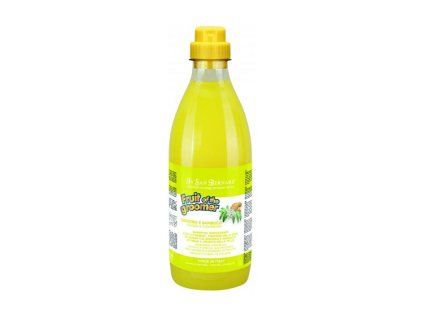 Šampon SAN BERNARD Zenzero-Sambuco zázvor a bezinky 1000ml