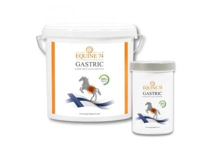 EQUINE 74 Gastric speciální přírodní směs proti žaludečním vředům pelety 2kg (DOPRODEJ)