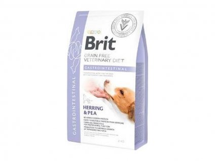 BRIT VD Dog Gastrointestinal 2kg