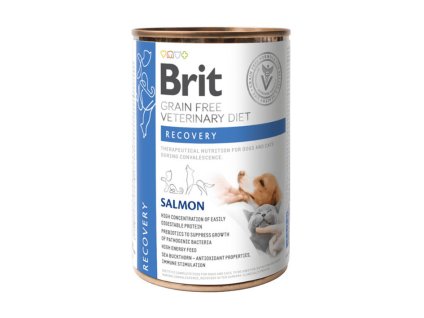 Konzerva BRIT VD Dog & Cat Recovery 400g
