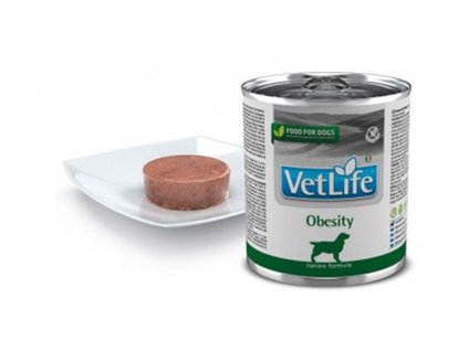 Konzerva VET LIFE Dog Obesity 300g