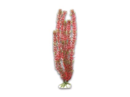 Akvarijní rostlina HAILEA UH M016 40cm