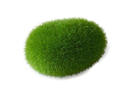 Akvarijní dekorace DUVO+ - mech 6x4,5x3,5cm