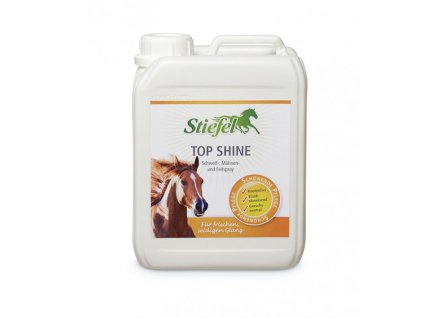STIEFEL Top Shine 2,5l (kanystr)