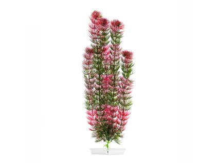 Rostlina JK Red Anacharis 38-43cm
