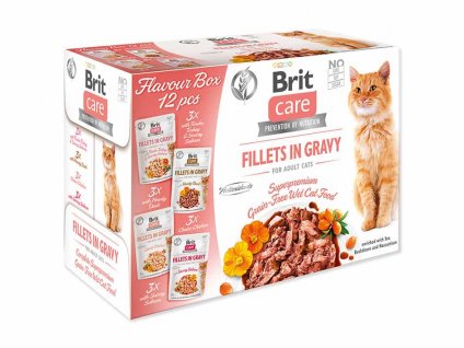 Kapsička BRIT CARE Cat Fillets in Gravy Flavour Box 12x85g (multipack)