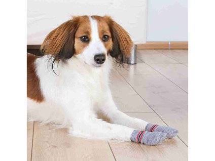 Ponožky TRIXIE pro psy protiskluzové šedé (S-M) (2ks) (DOPRODEJ)