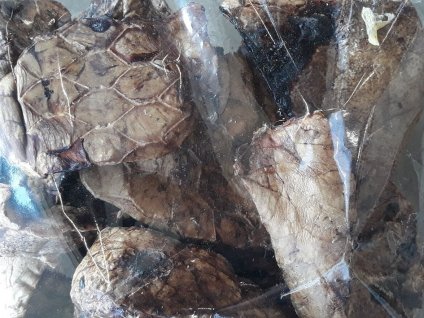 Vepřové plíce 300g (DOPRODEJ)