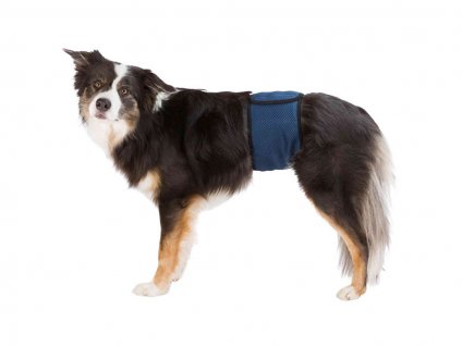 Inkontinenční pás pro psy TRIXIE tmavě modrý (S) 29-37cm