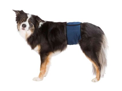 Inkontinenční pás pro psy TRIXIE tmavě modrý (S-M) 37-45cm