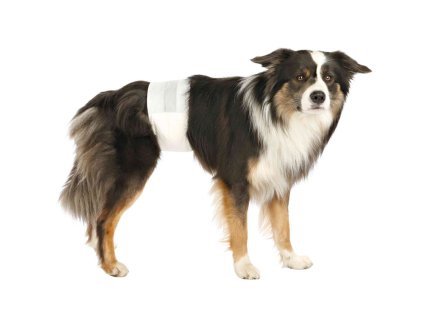 Papírový inkontinenční pás TRIXIE pro psy (M-L) 45-60cm (12ks) (DOPRODEJ)