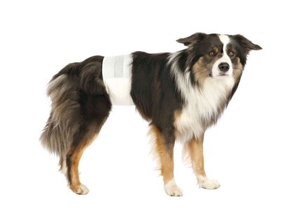 Papírový inkontinenční pás TRIXIE pro psy (L-XL) 60-80cm (12ks) (DOPRODEJ)