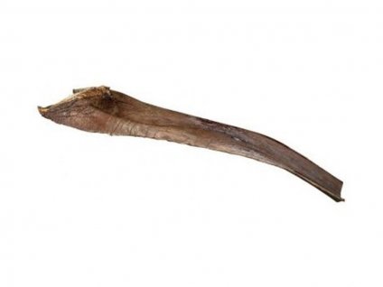 TRIXIE Papah Wood - palmový list 50-65cm (1ks)