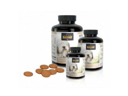 BELCANDO Derm-Tabs (40tbl)