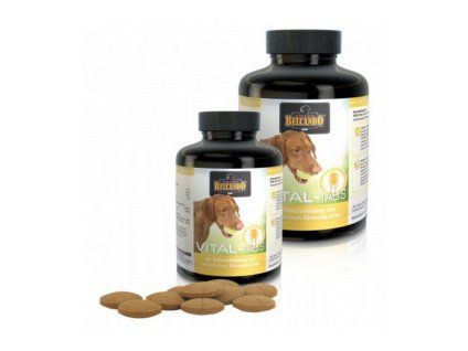 BELCANDO Vital-Tabs (100tbl)