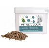 DROMY Vital Colon 3,3kg