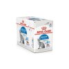Kapsička ROYAL CANIN Indoor 12x85g (v omáčce) (multipack)