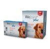 WEPHARM WeJoint Plus pro velké psy 30tbl (DOPRODEJ)